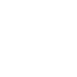 BioTraces Logo